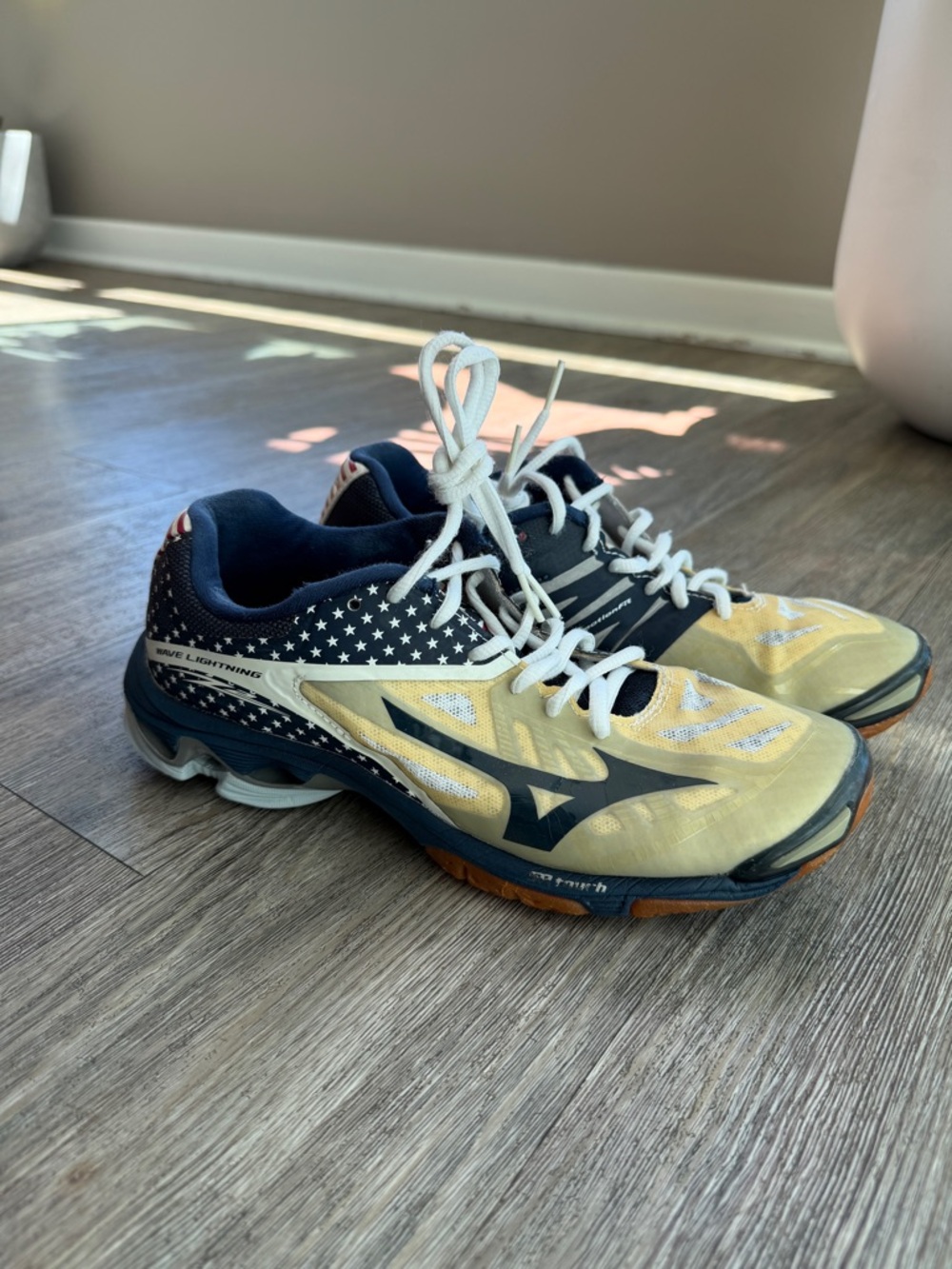 Mizuno Volleyball Shoes